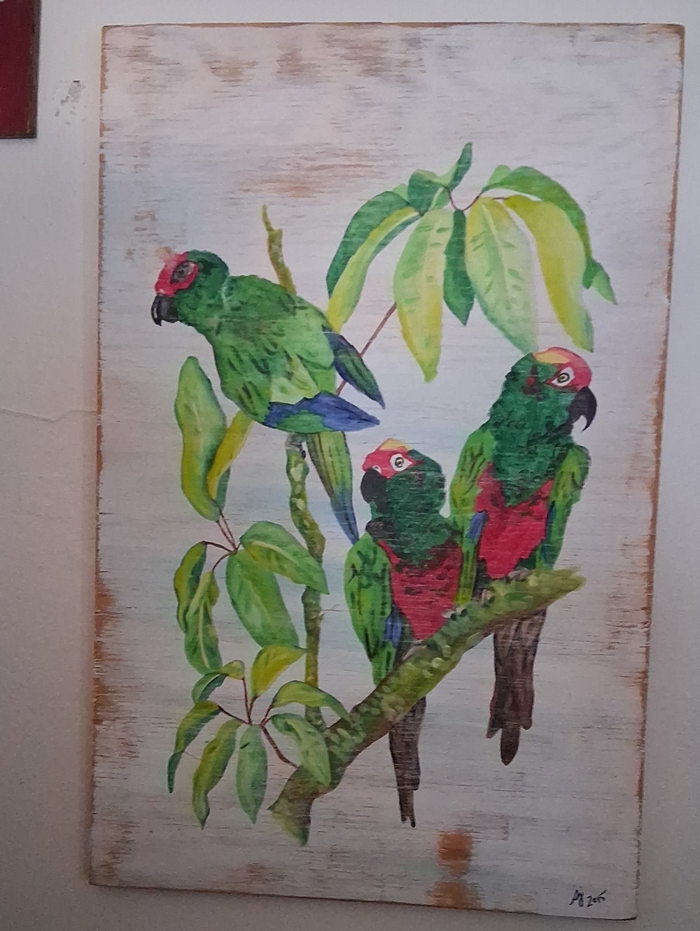 Stephanie Johnson Green and Red Parrot Trio Wall Art
